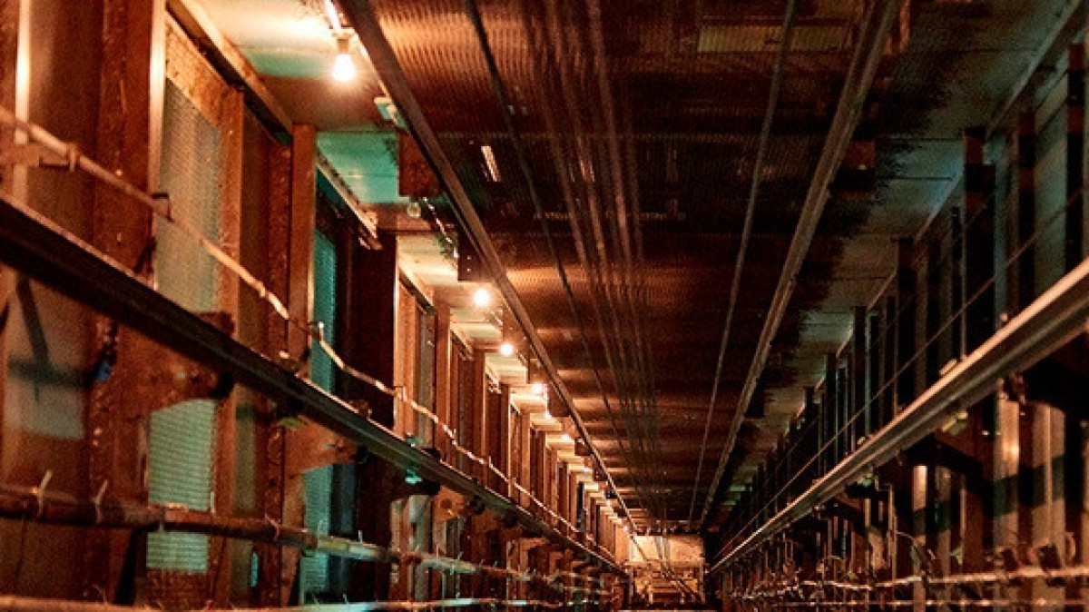 из свободных источников 