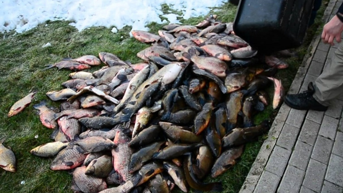 Из открытых источников 