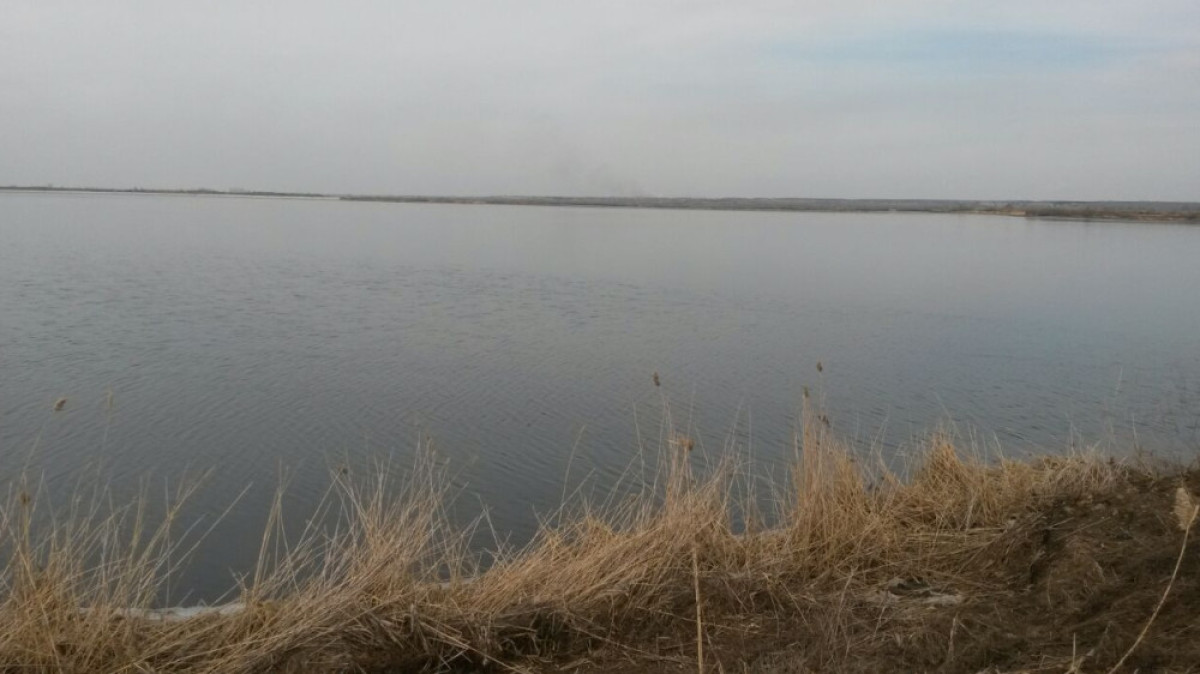 из свободных источников 