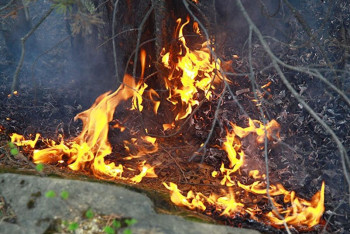 Акмолинская область готова к пожароопасному и купальному сезонам