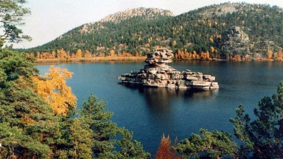 из свободных источников 