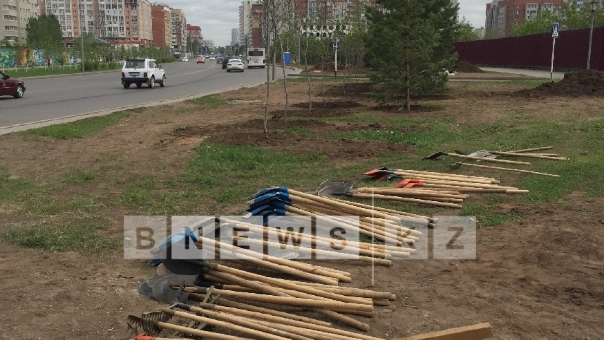 Бота Женискызы