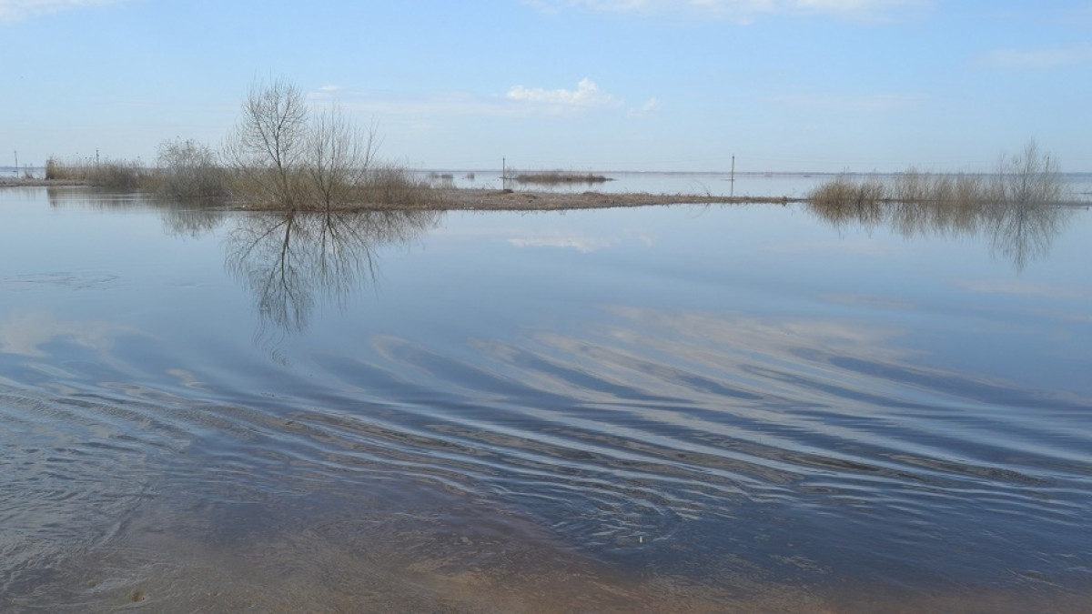 Светлана Боярская 