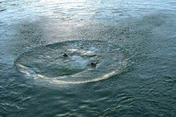 В праздничные дни в Алматинской области утонули пятеро детей