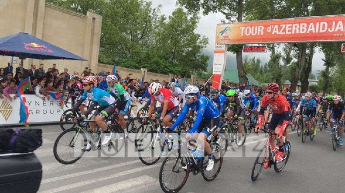 Нармина Мамедова