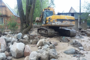 Более 170 домов подтоплены из-за разлива реки в Алматинской области