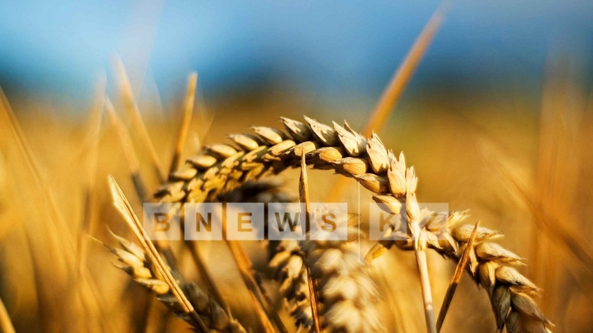 Из открытых источников 