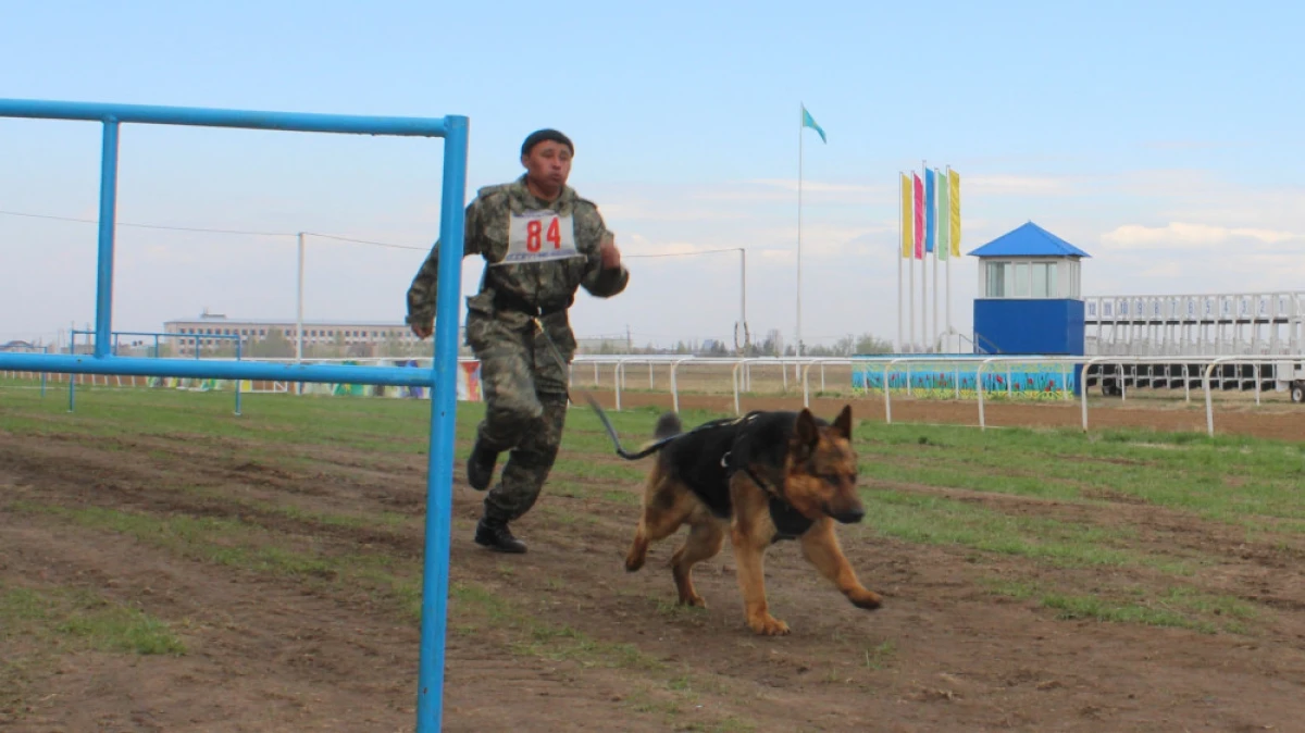 Анна Белобородова