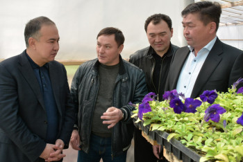 Более двух тысяч деревьев высадили в Кокшетау