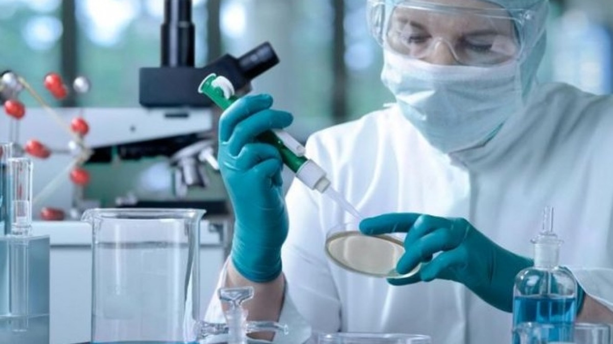 из свободных источников 