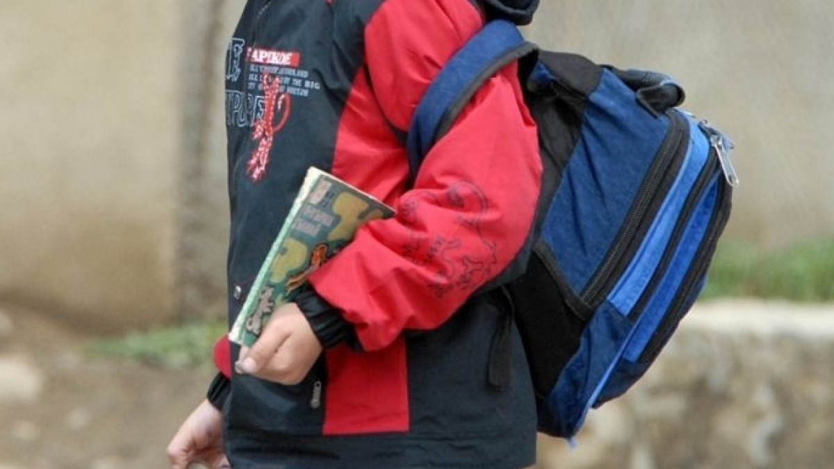 из открытых источников