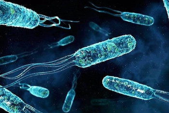 В селе Бозайгыр проводят дезинфекцию водопровода