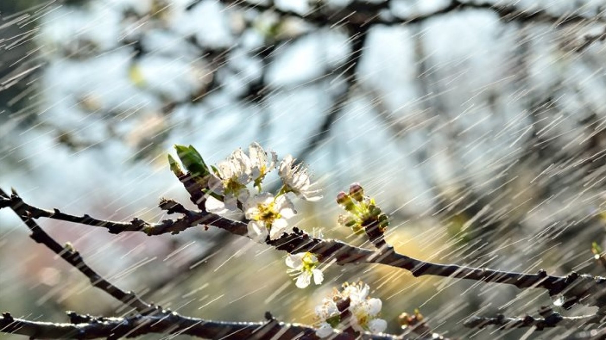 UralDaily.ru