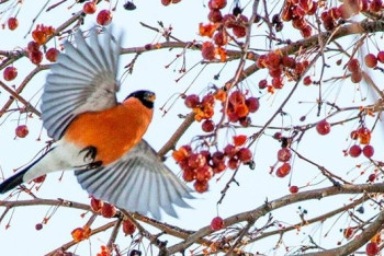 Синоптики прогнозируют в Казахстане дожди к концу недели