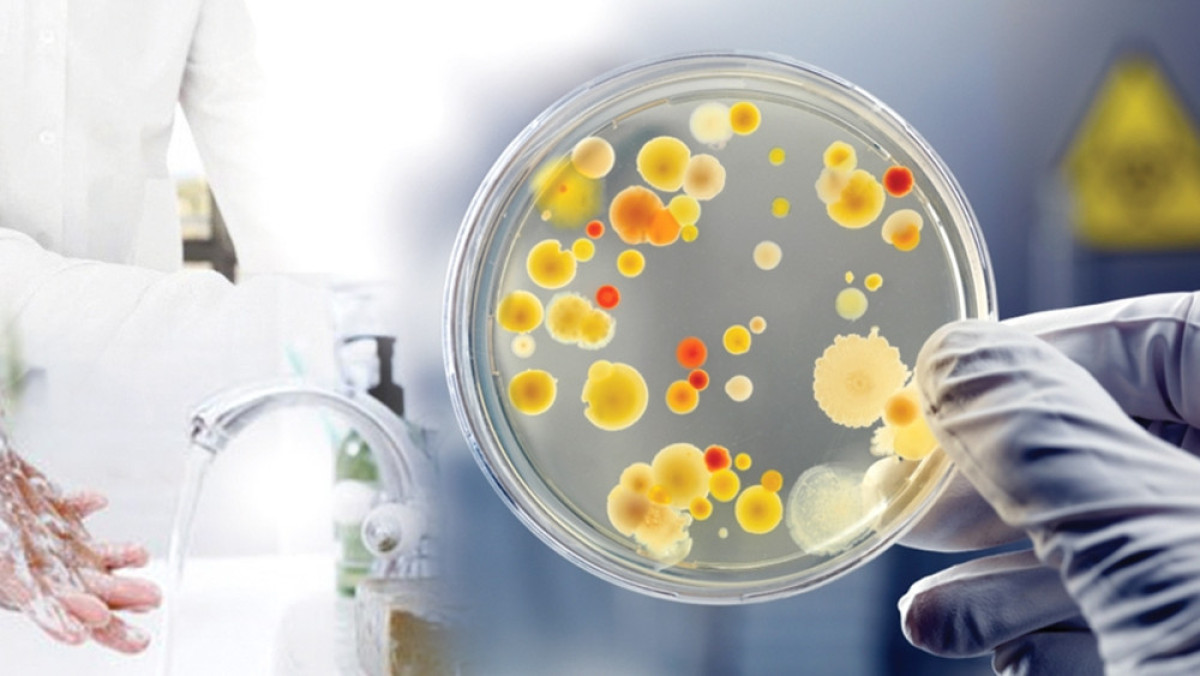 из свободных источников 