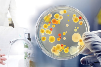 Причиной недомоганий жителей Бозайгыра может быть вода