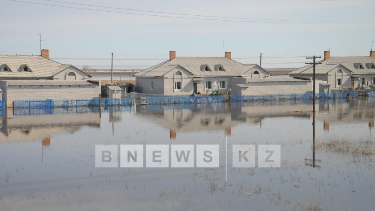 Алла Радченко