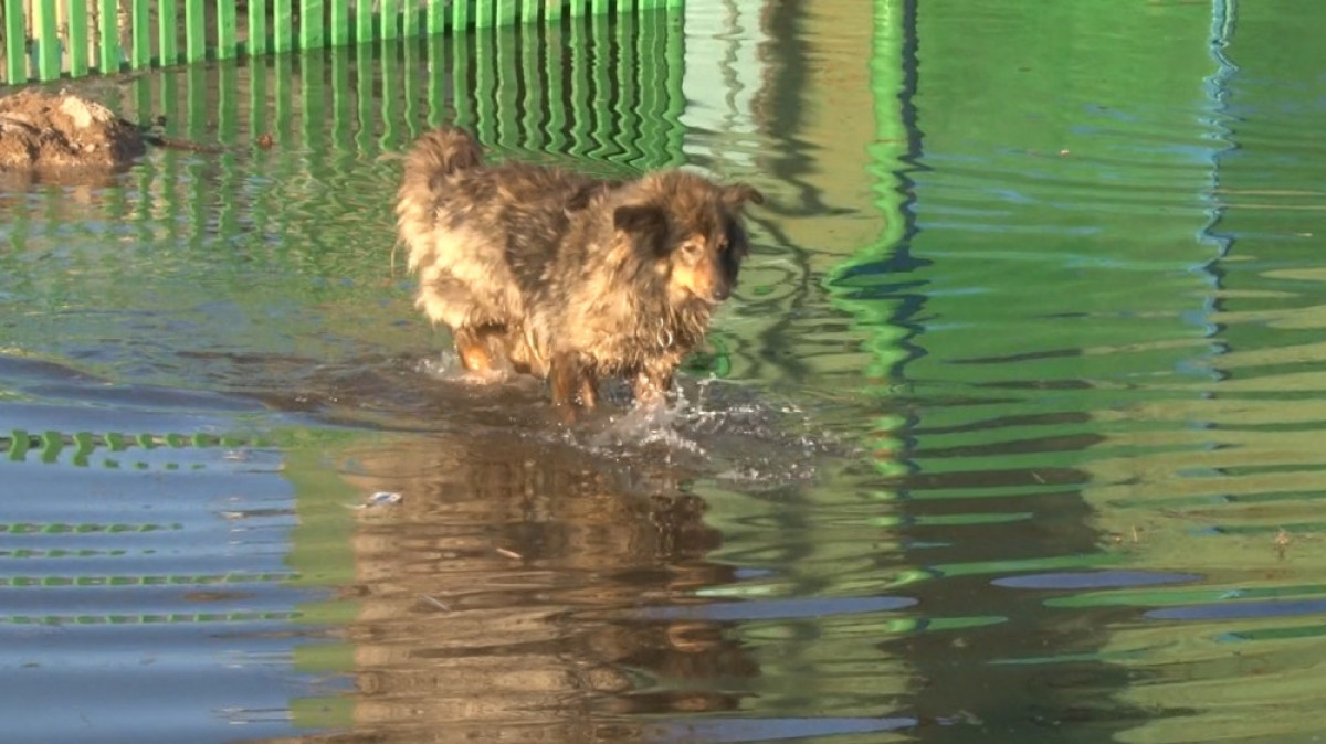 Валентина Вагонова