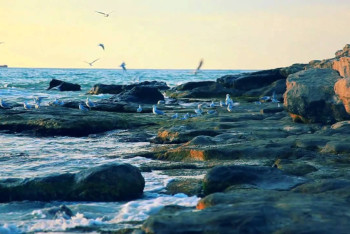 Казахстанские власти намерены ужесточить охрану Каспия