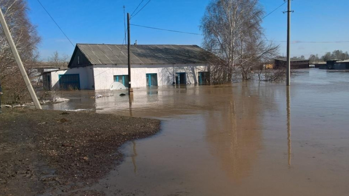 ДЧС СКО