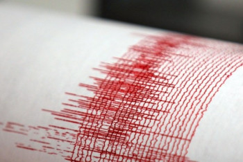 Отголоски афганского землетрясения ощутили в Шымкенте  