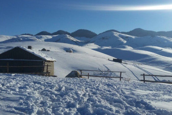 Фотография к новости: В Казахстане снимут фильм о прославленном борце Балуане Шолаке