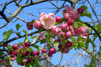 О погоде на майские праздники в Алматы рассказали синоптики