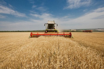 Использование сельхозземель будет контролироваться – Г.Бимендина