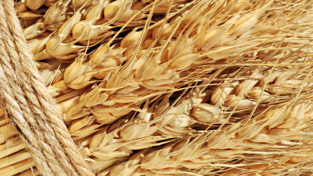 из свободных источников 