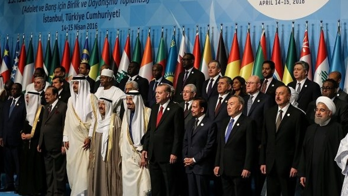 из свободных источников 