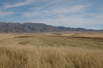 Космические снимки курганов в Семее заинтриговали ученых