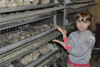 Фотография к новости: Предприниматели из СКО выращивают 24 породы домашних птиц  