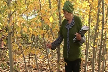 Спасение для аллергиков предложила биолог из Костаная