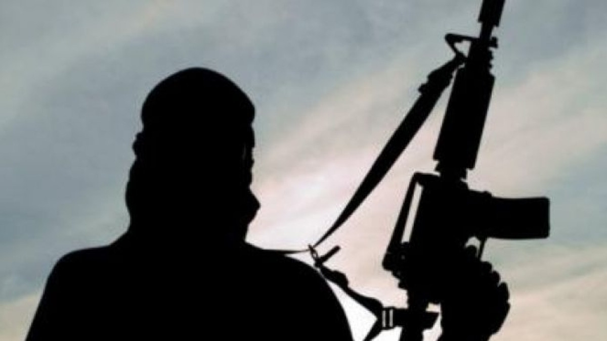 из свободных источников 