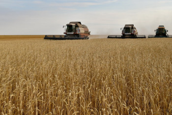 В земельных отношениях СКО нет прозрачности – аким