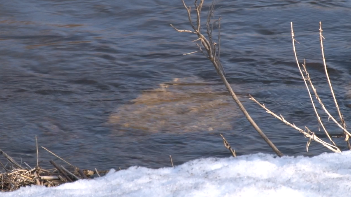 Валентина Ваганова