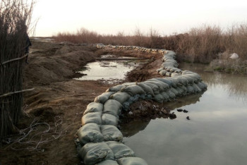  В Южном Казахстане устраняют последствия паводков
