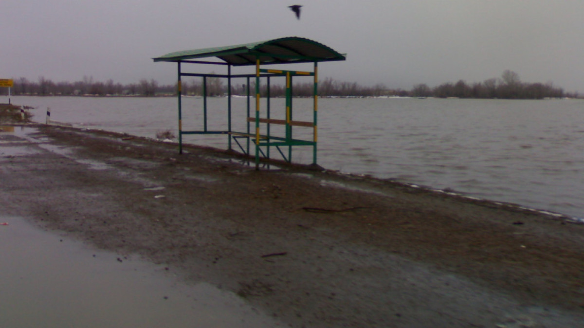 из свободных источников 