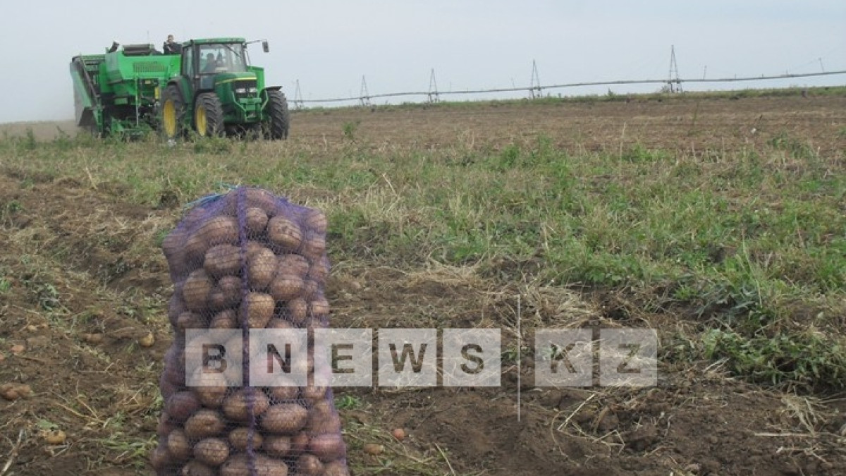 Сергей Романов