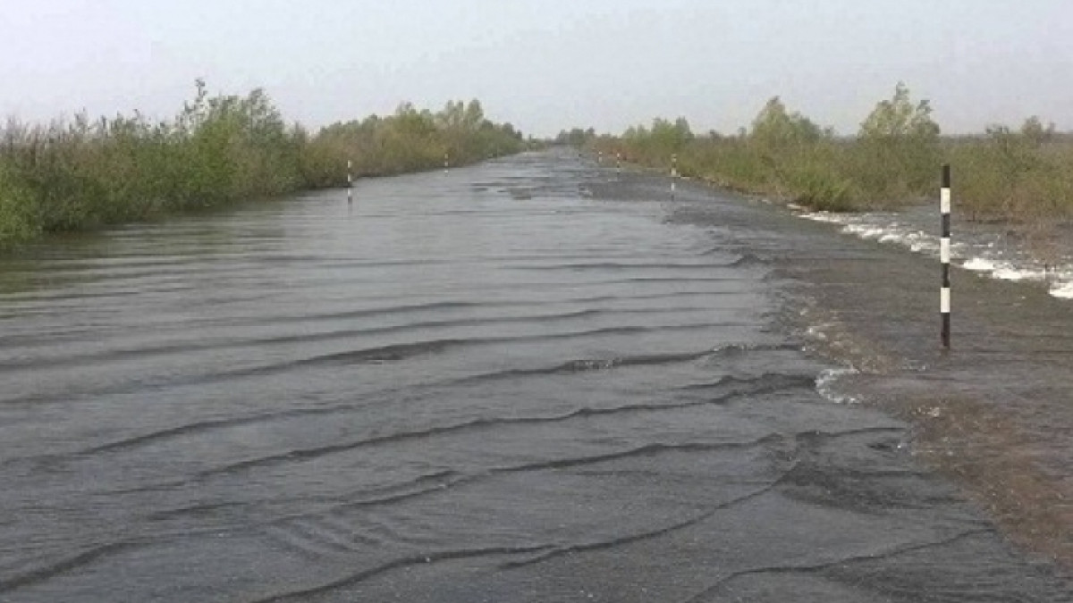 из свободных источников 