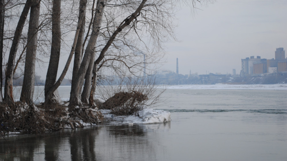 Алла Радченко