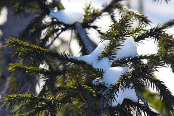 Завтра в центральном Казахстане ожидается низовая метель