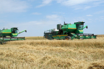 Более 600 сельхозкооперативов намерены создать в Алматинской области