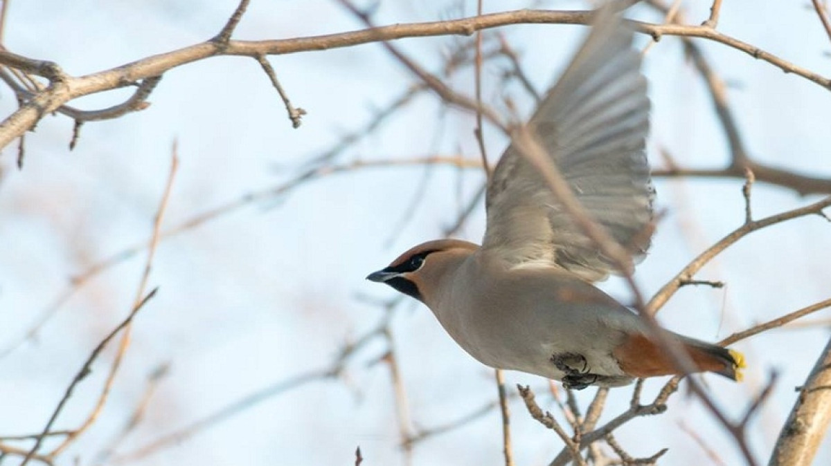 Владимир Крикун, аккаунт в facebook