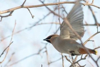 Завтра на большей части Казахстана ожидаются осадки и ветер