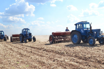 В Акмолинской области посевную проведут на 5 млн га земли