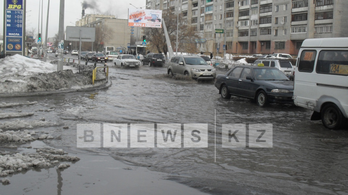 Алла Радченко