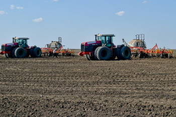 МСХ РК: Площадь посева сельхозкультур в этом году увеличится