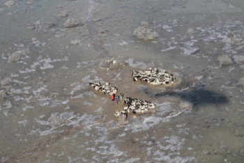 Премьер-министру доложили о паводках в Кызылординской области