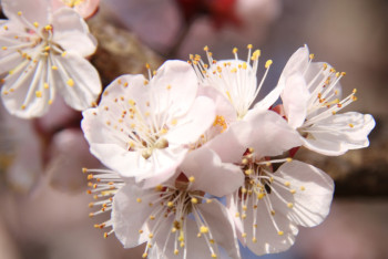 Какая погода ожидает казахстанцев в конце марта?